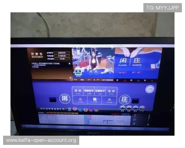 百家乐网站排名